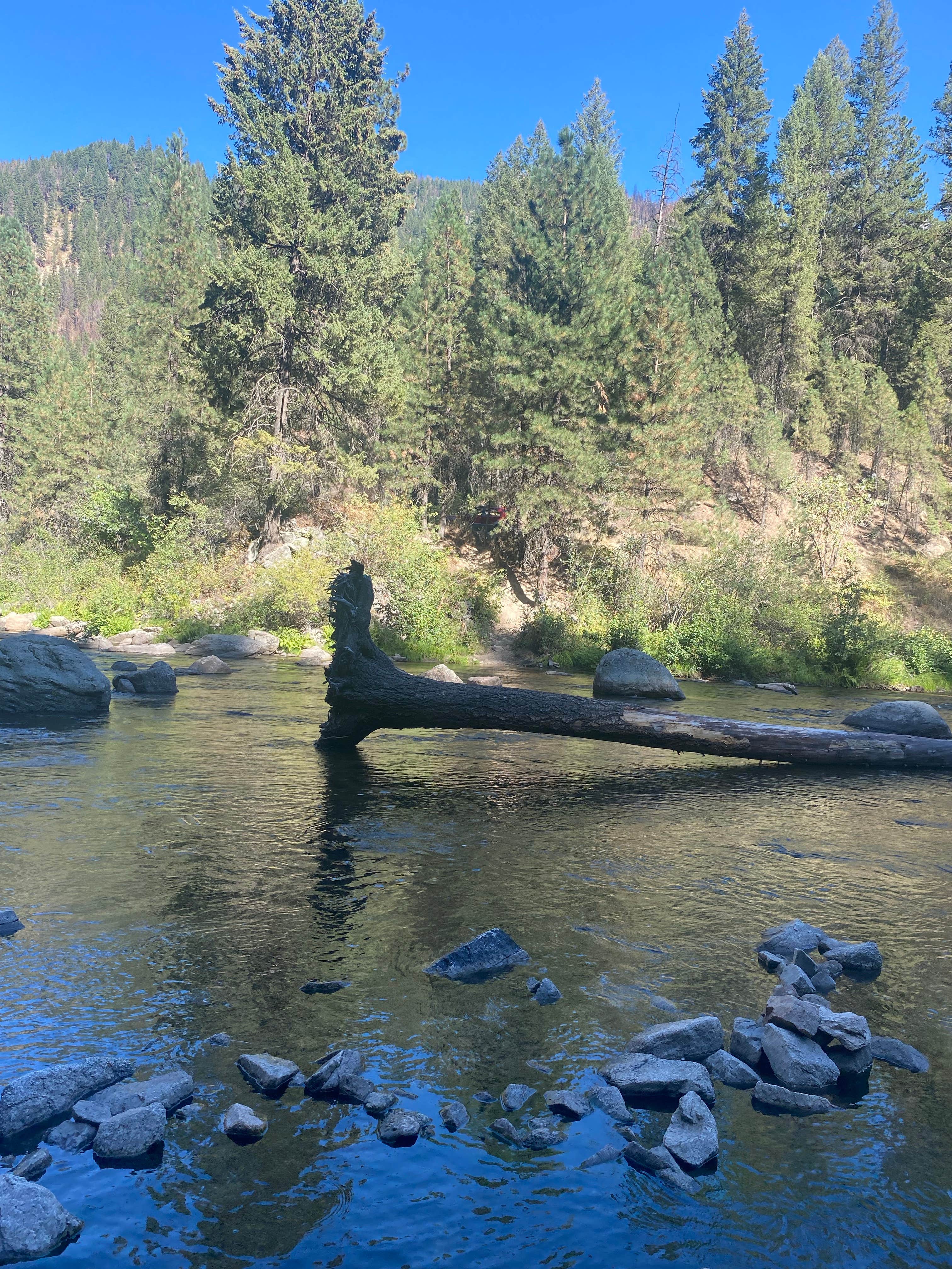 Camper-submitted photo at Beautiful Boise National Forest near Banks, ID