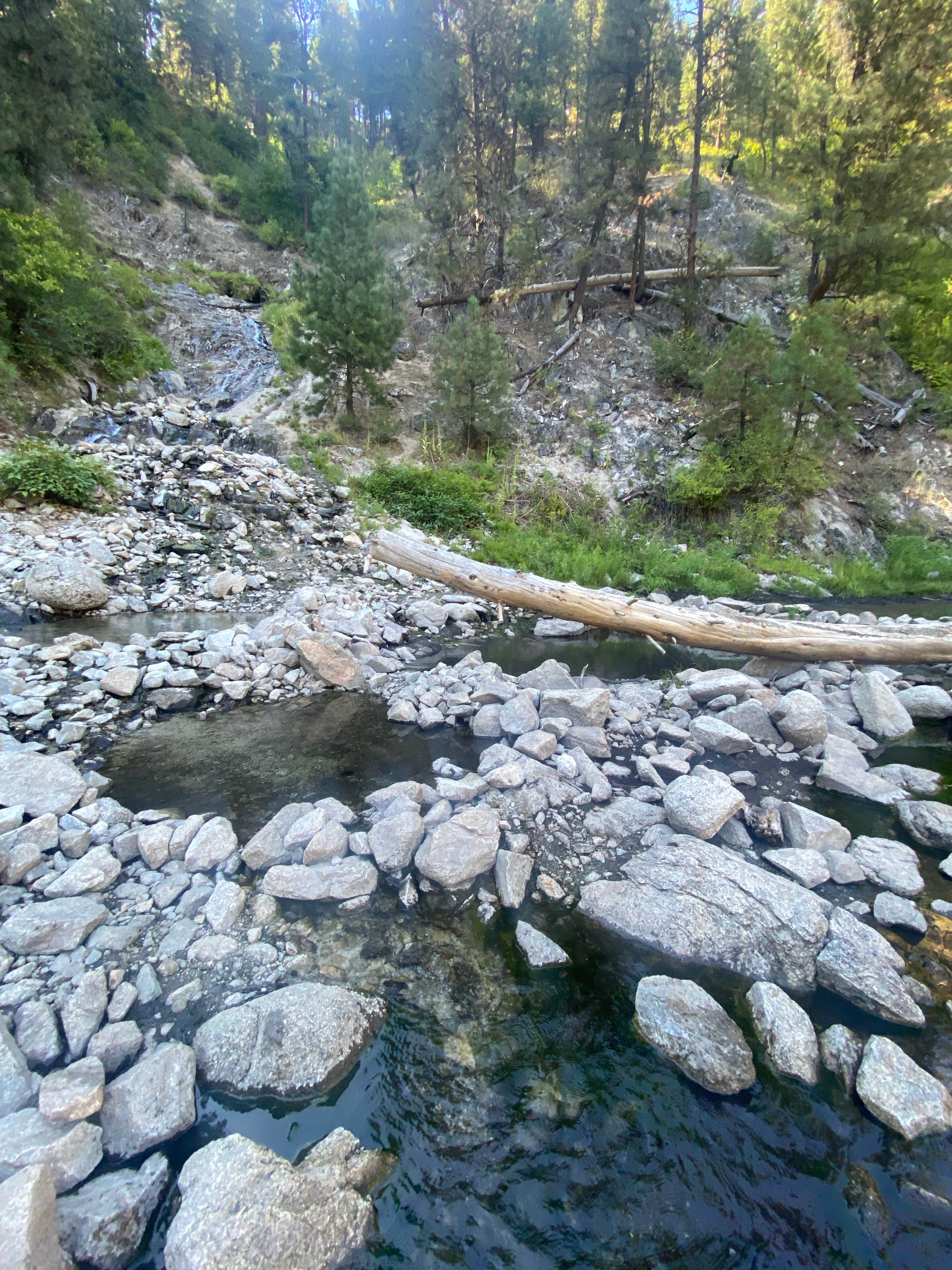 Camper-submitted photo at Beautiful Boise National Forest near Banks, ID
