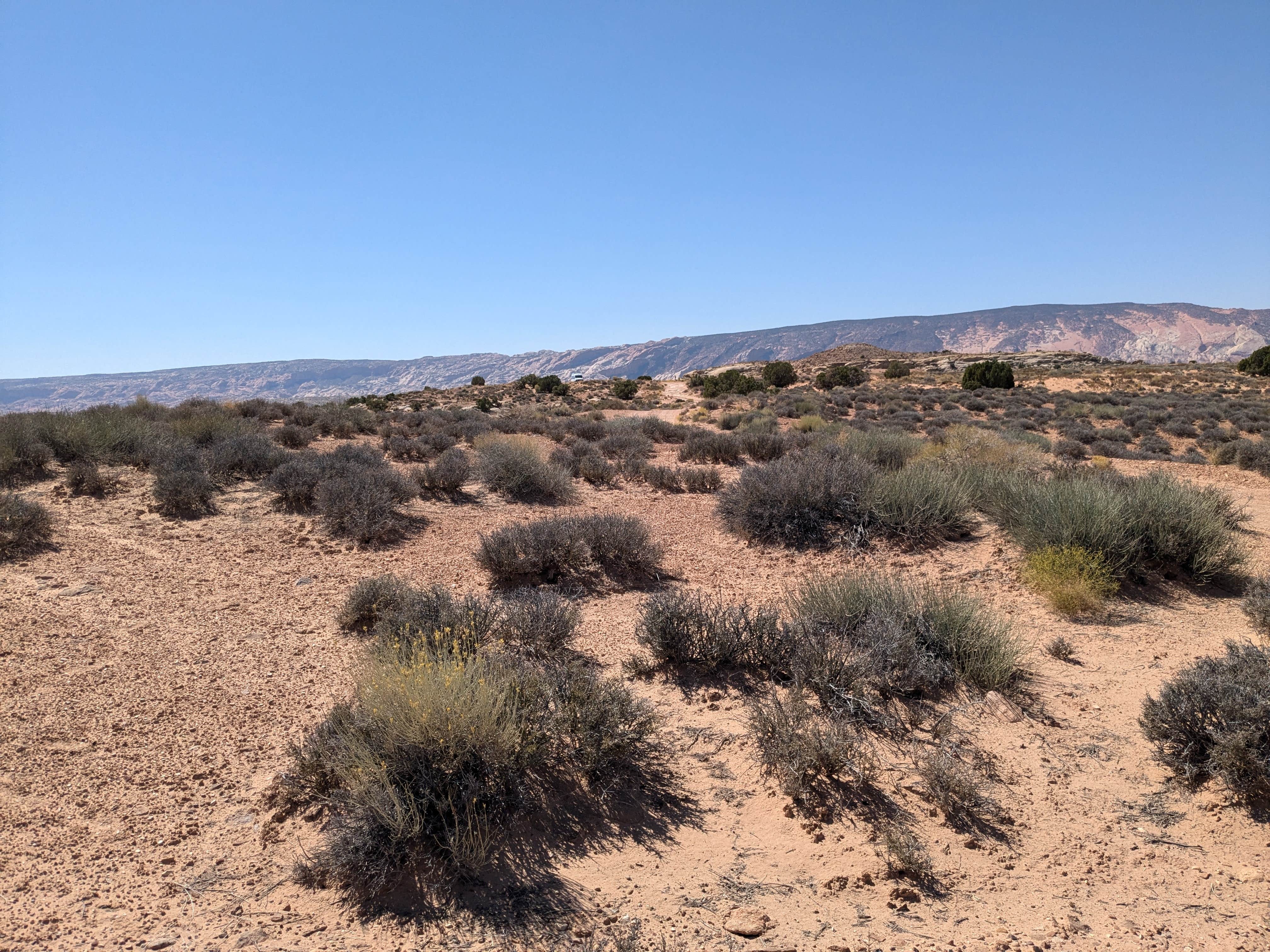 Camping near Halls Creek Outlook: Isolated Dispersed Pull-Off Burr Road, Eggnog, Utah