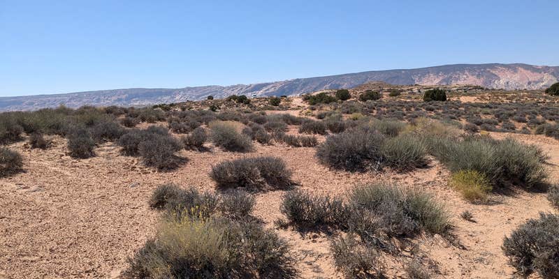 Camper submitted image from Isolated Dispersed Pull-Off Burr Road