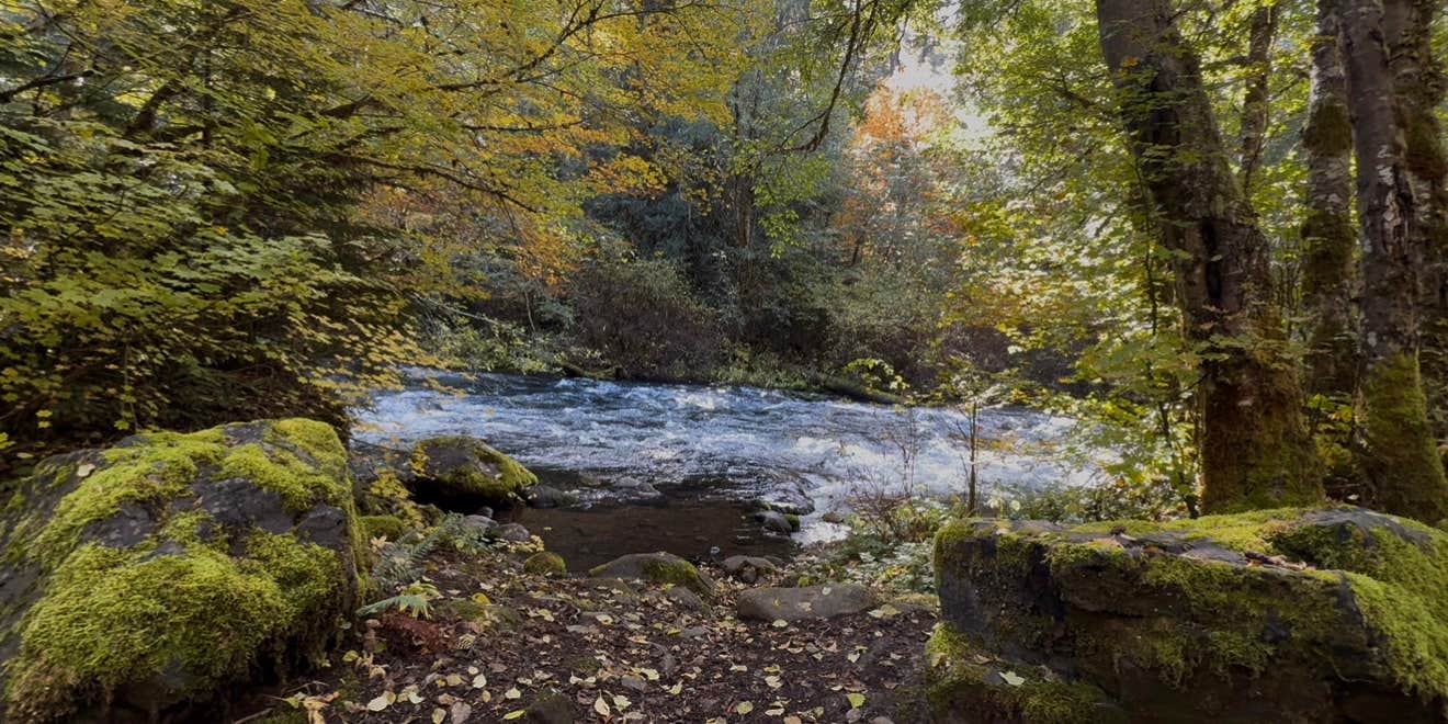 Camper-submitted photo at Beautiful Spot NF 4630 by the River near Gervais, OR