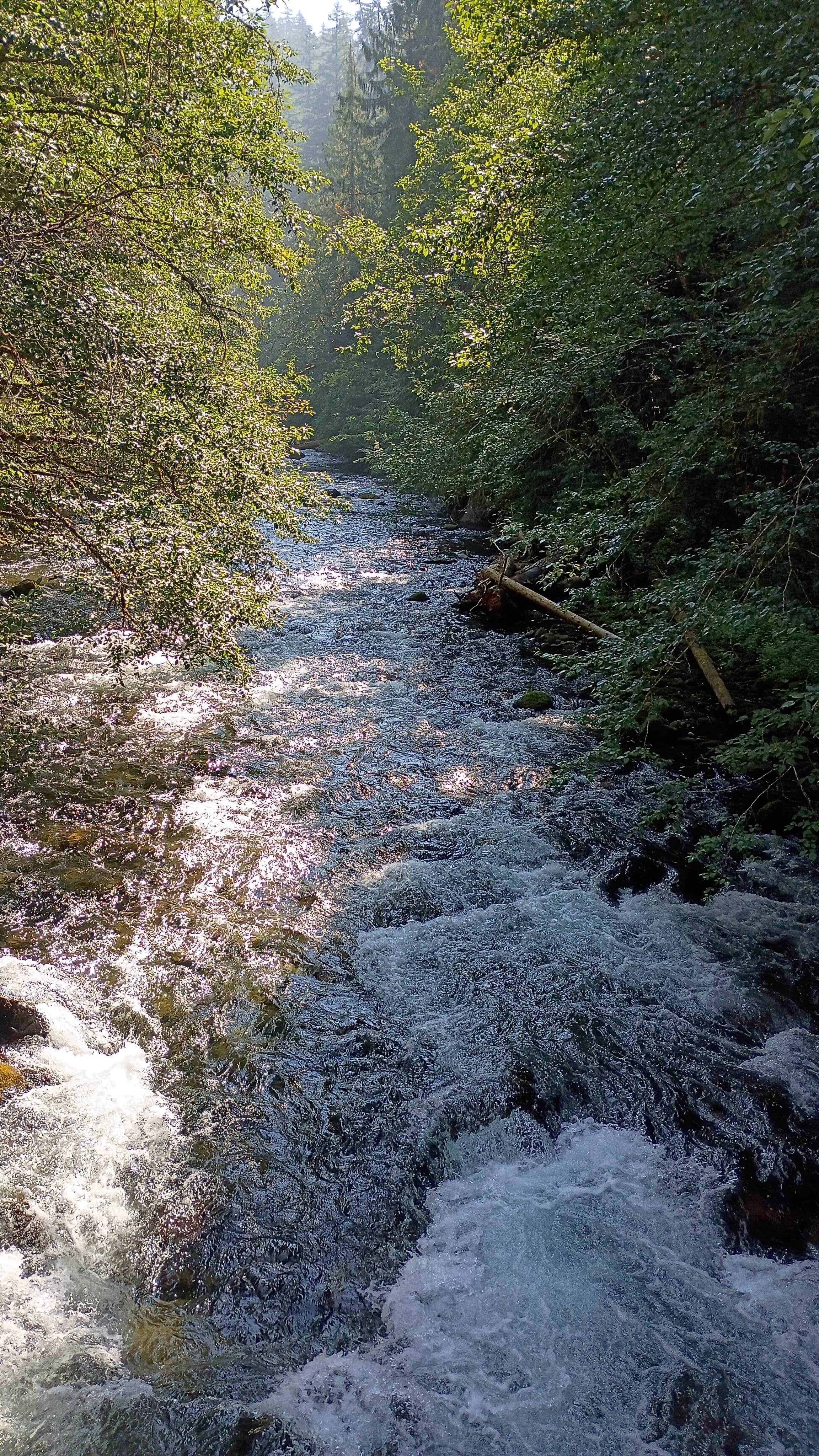 Camper-submitted photo at Beautiful Spot NF 4630 by the River near Sublimity, OR
