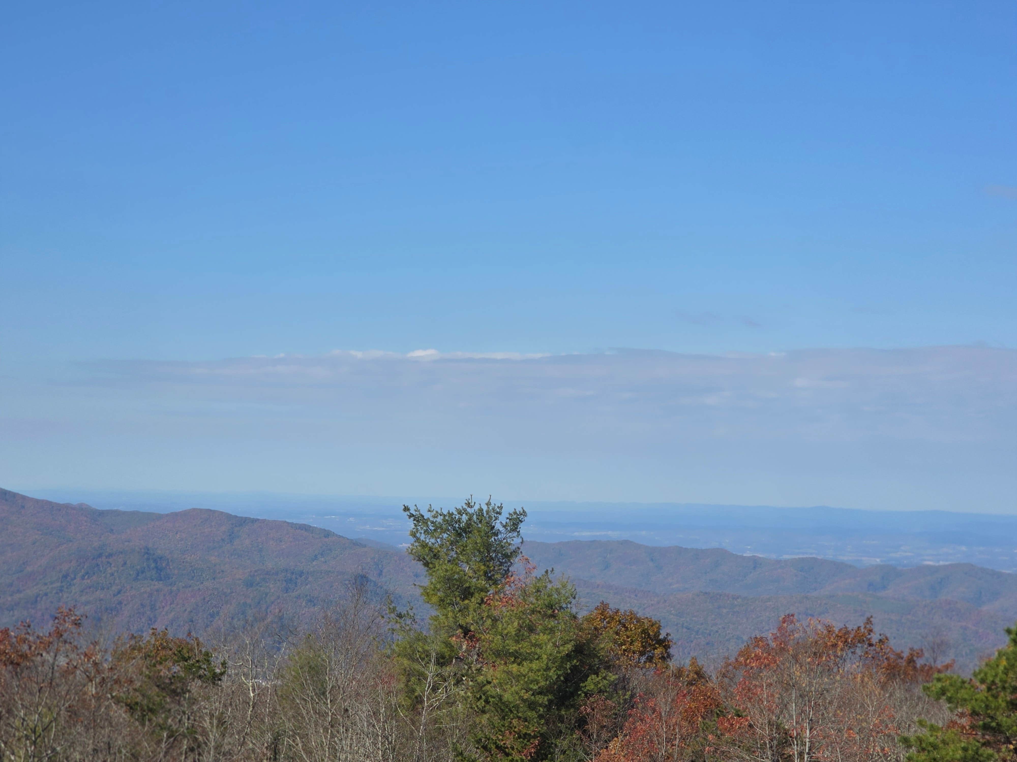 Ryan B.'s photo of a dispersed camping area at Beauty Spot Gap on Unaka Mountain near Candler, NC