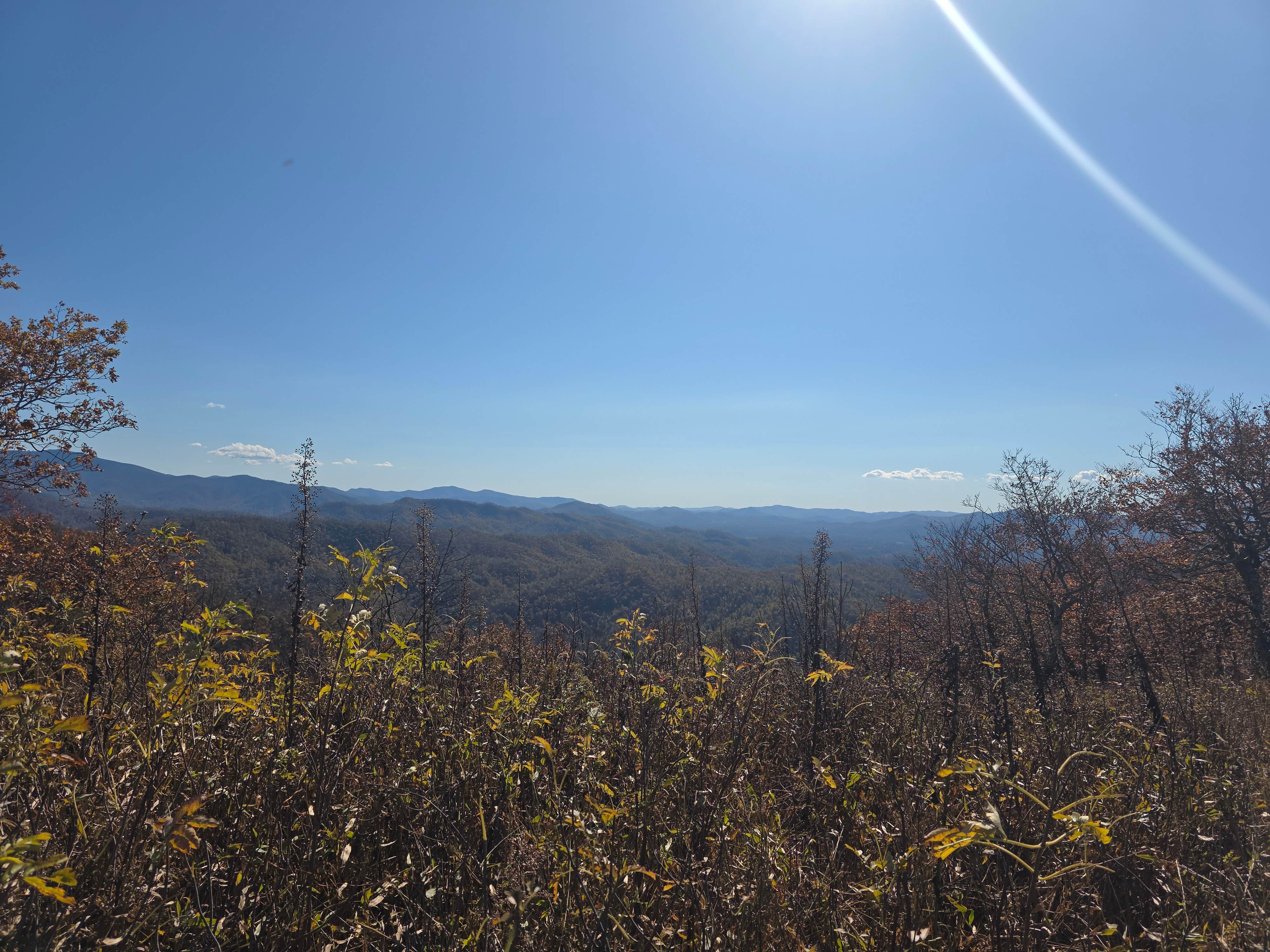Camper-submitted photo at Beauty Spot Gap on Unaka Mountain near Dungannon, VA