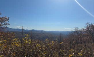 Ryan B.'s photo of a dispersed camping area at Beauty Spot Gap on Unaka Mountain near Del Rio, TN