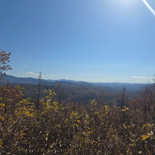 Unaka Blue Ridge Beauty Spot Gap on Unaka Mountain Camping | Erwin, Tennessee