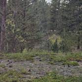 Review photo of Beaver Creek Rd Dispersed Site by johny R., October 1, 2026