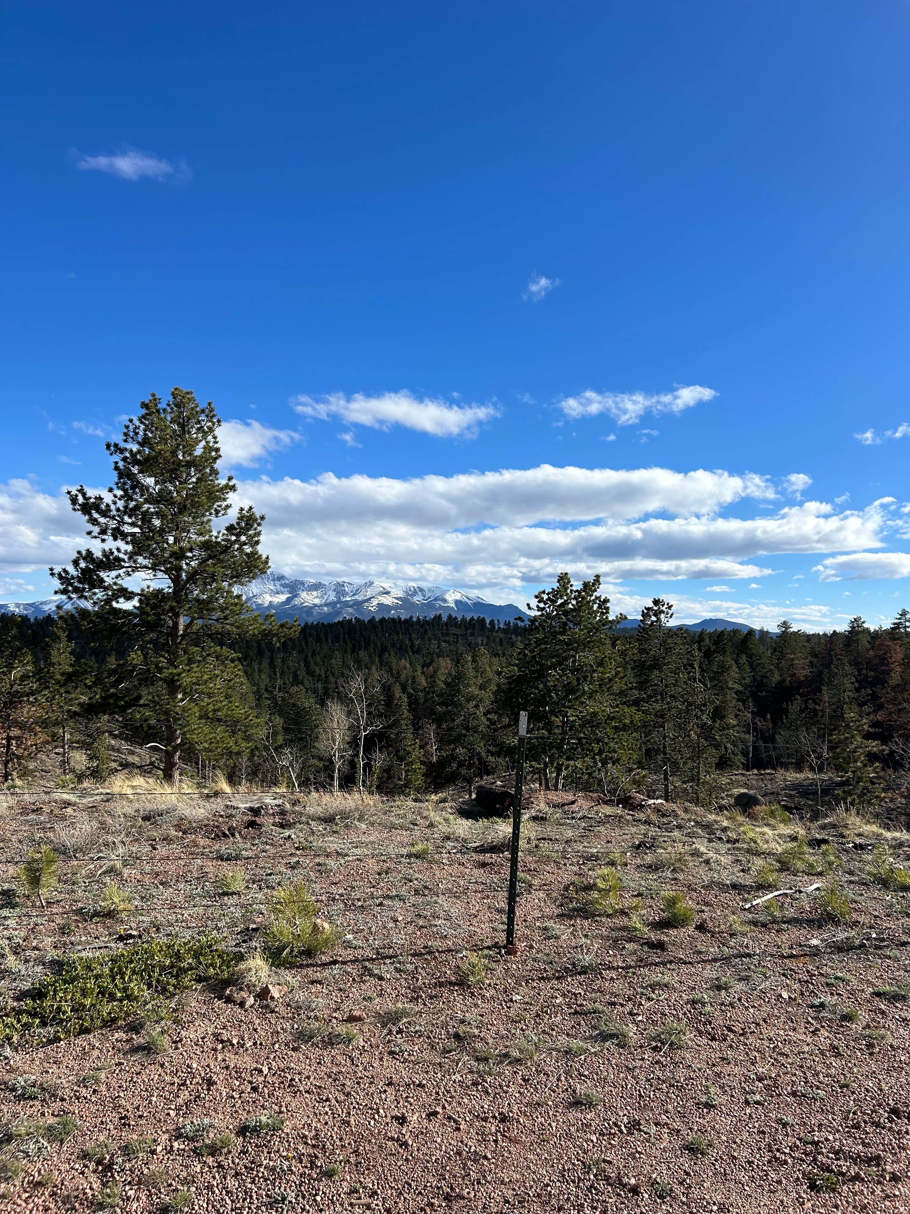 Alyson M.'s photo of a dispersed camping area at Beaver Creek Rd Dispersed Site near Parker, CO