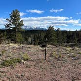 Review photo of Beaver Creek Rd Dispersed Site by Alyson M., May 9, 2024