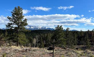 Alyson M.'s photo of a dispersed camping area at Beaver Creek Rd Dispersed Site near Parker, CO