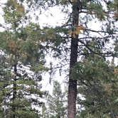 Review photo of Beaver Creek Rd Dispersed Site by johny R., October 1, 2026