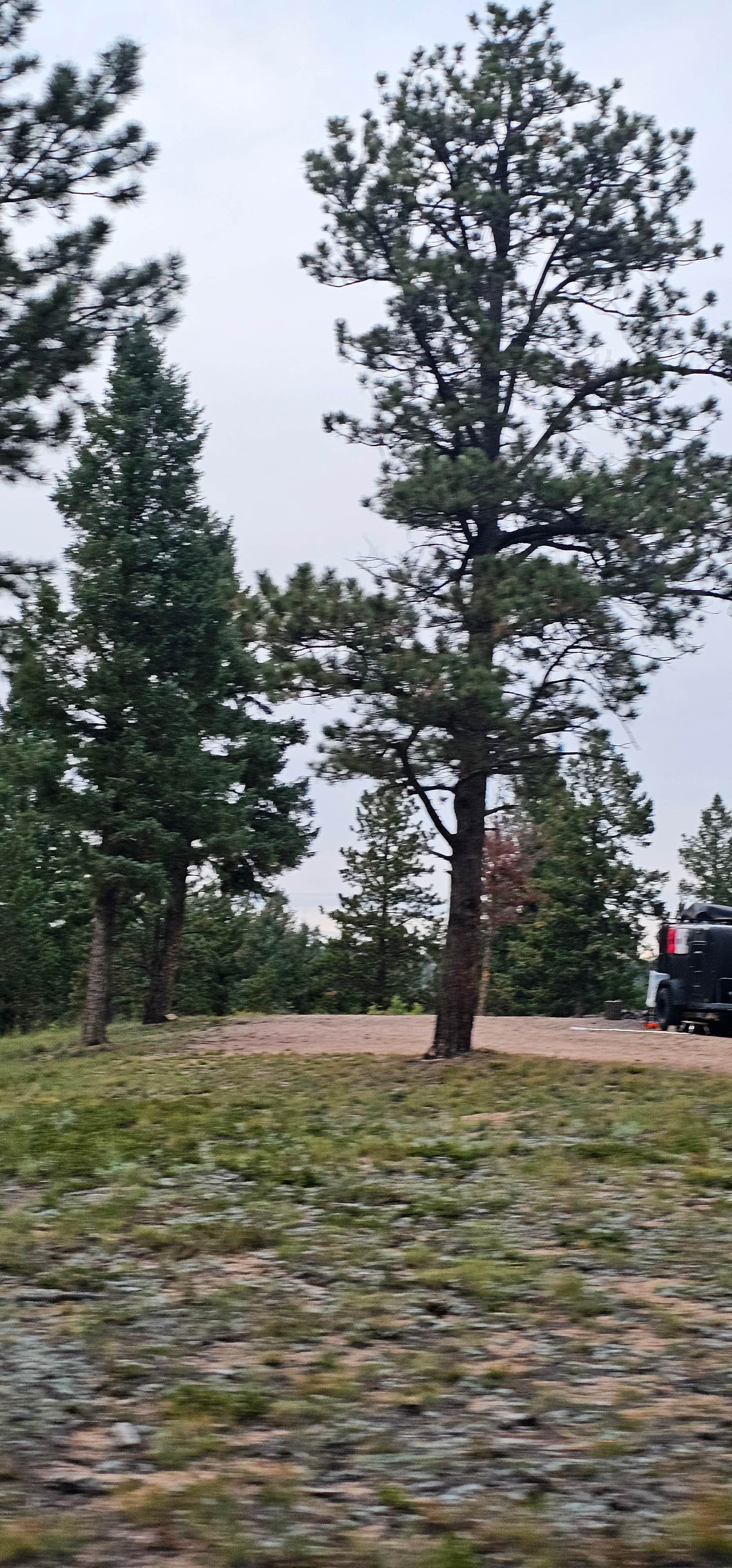 Camping near Rampart Range Road - Dispersed Camping: Beaver Creek Rd Dispersed Site, Woodland Park, Colorado
