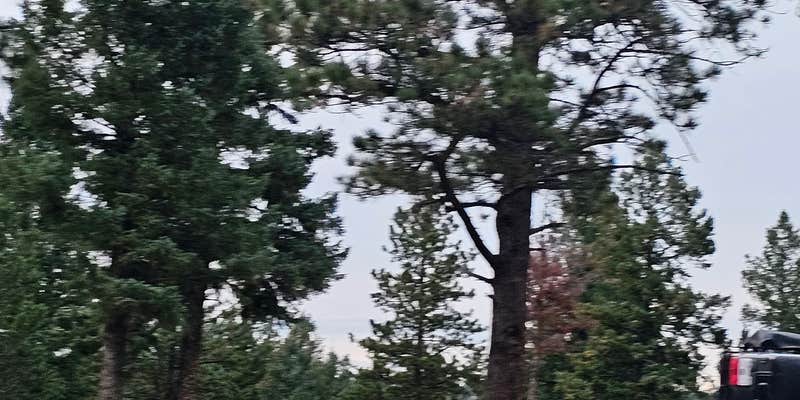 Camper submitted image from Beaver Creek Rd Dispersed Site