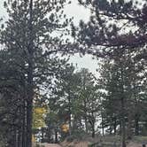 Review photo of Beaver Creek Rd Dispersed Site by johny R., October 1, 2026