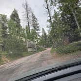 Review photo of Beaver Creek Rd Dispersed Site by Conner , July 4, 2025