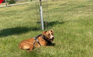 Lucy P.'s photo of camping with pets at Beaver Creek near Mandan, ND