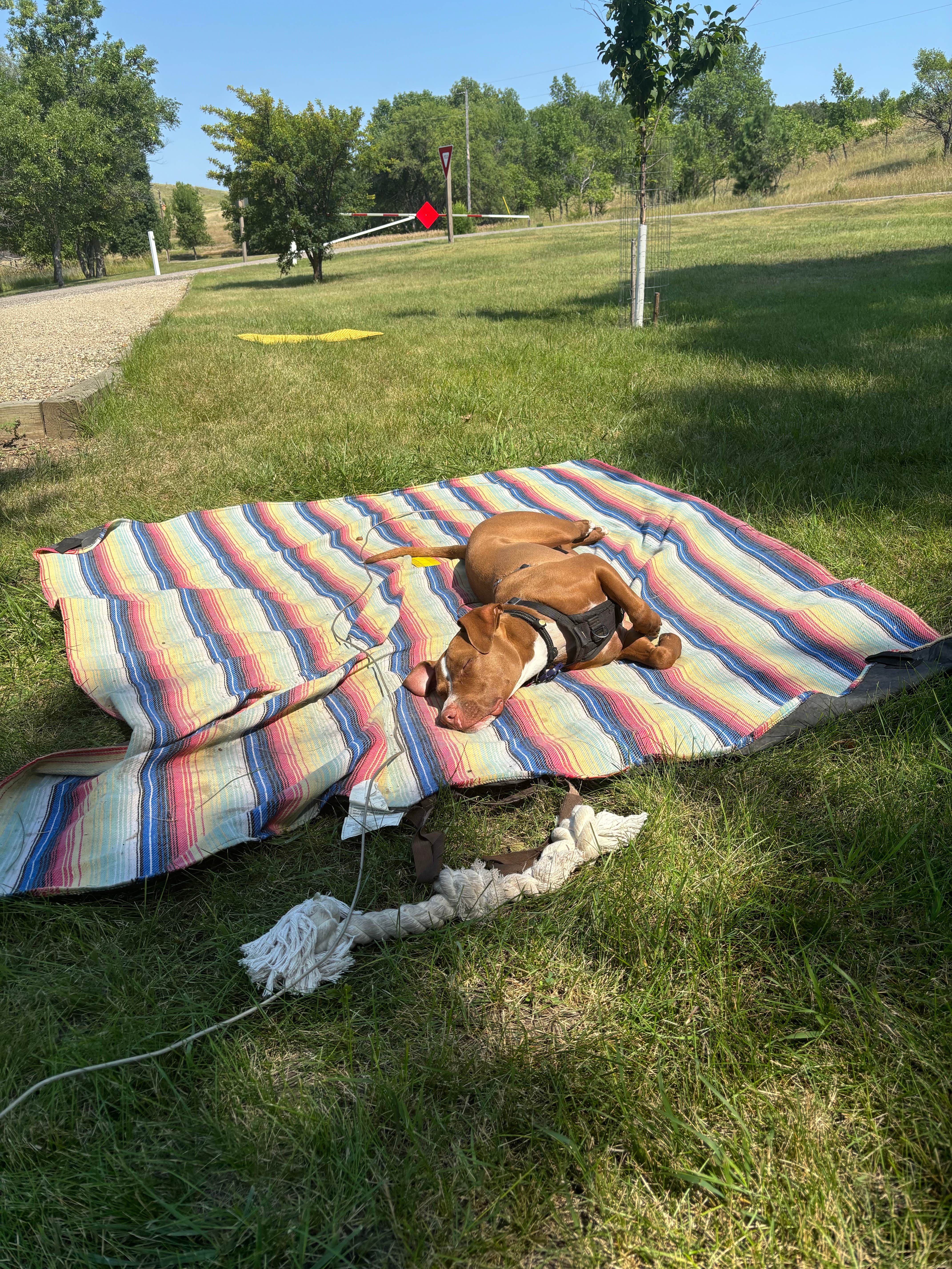 Camper submitted image from Beaver Creek - 5