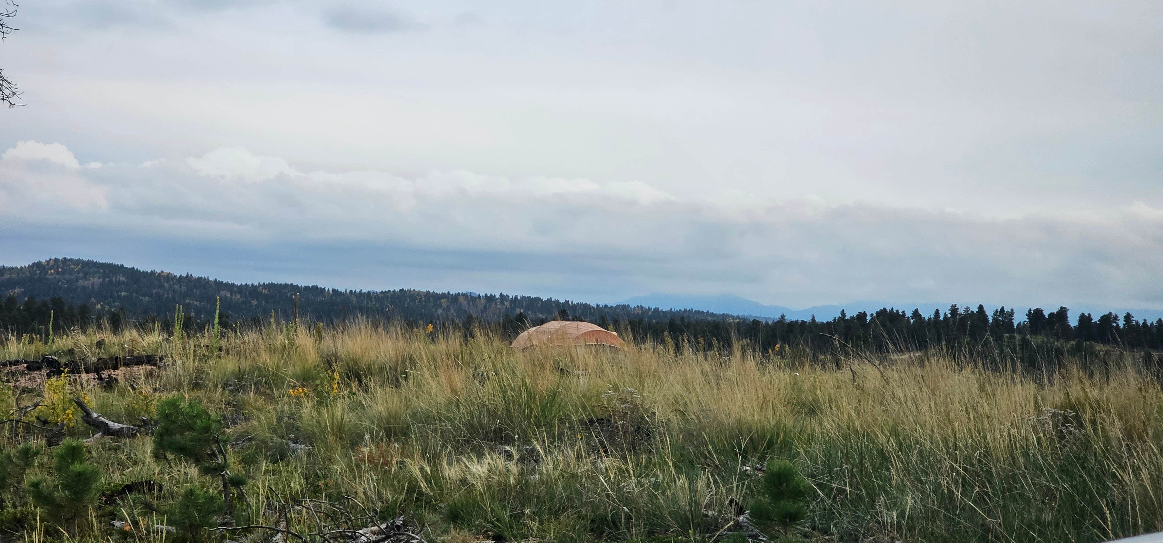 johny R.'s photo of a dispersed camping area at Beaver Creek Road near Cimarron, CO