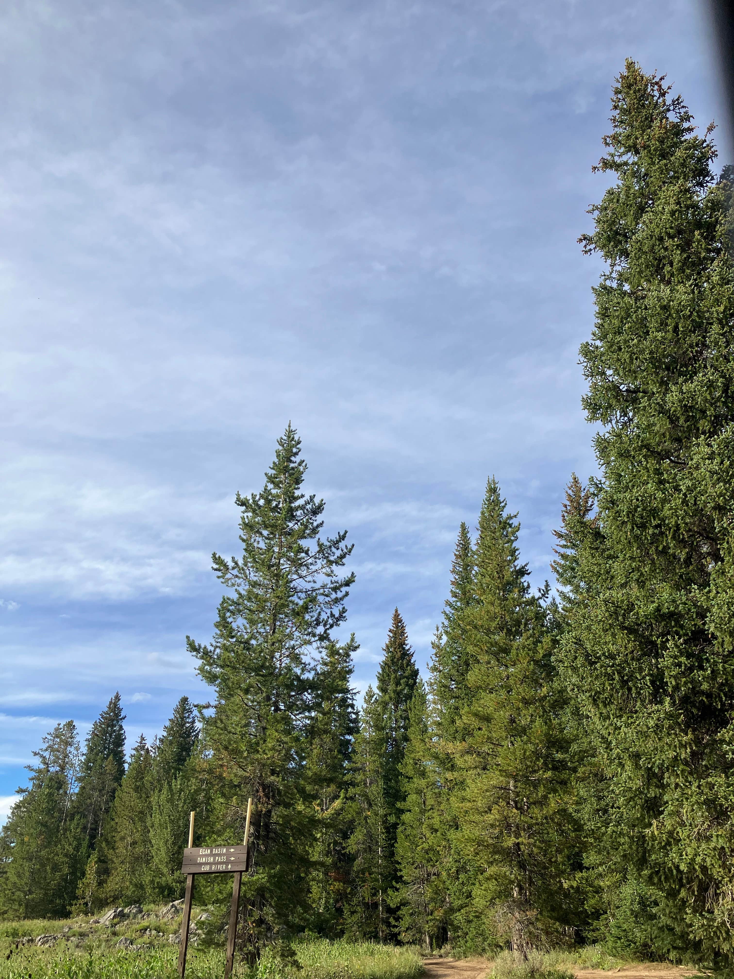 Camper-submitted photo at Beaver Creek near Fish Haven, ID
