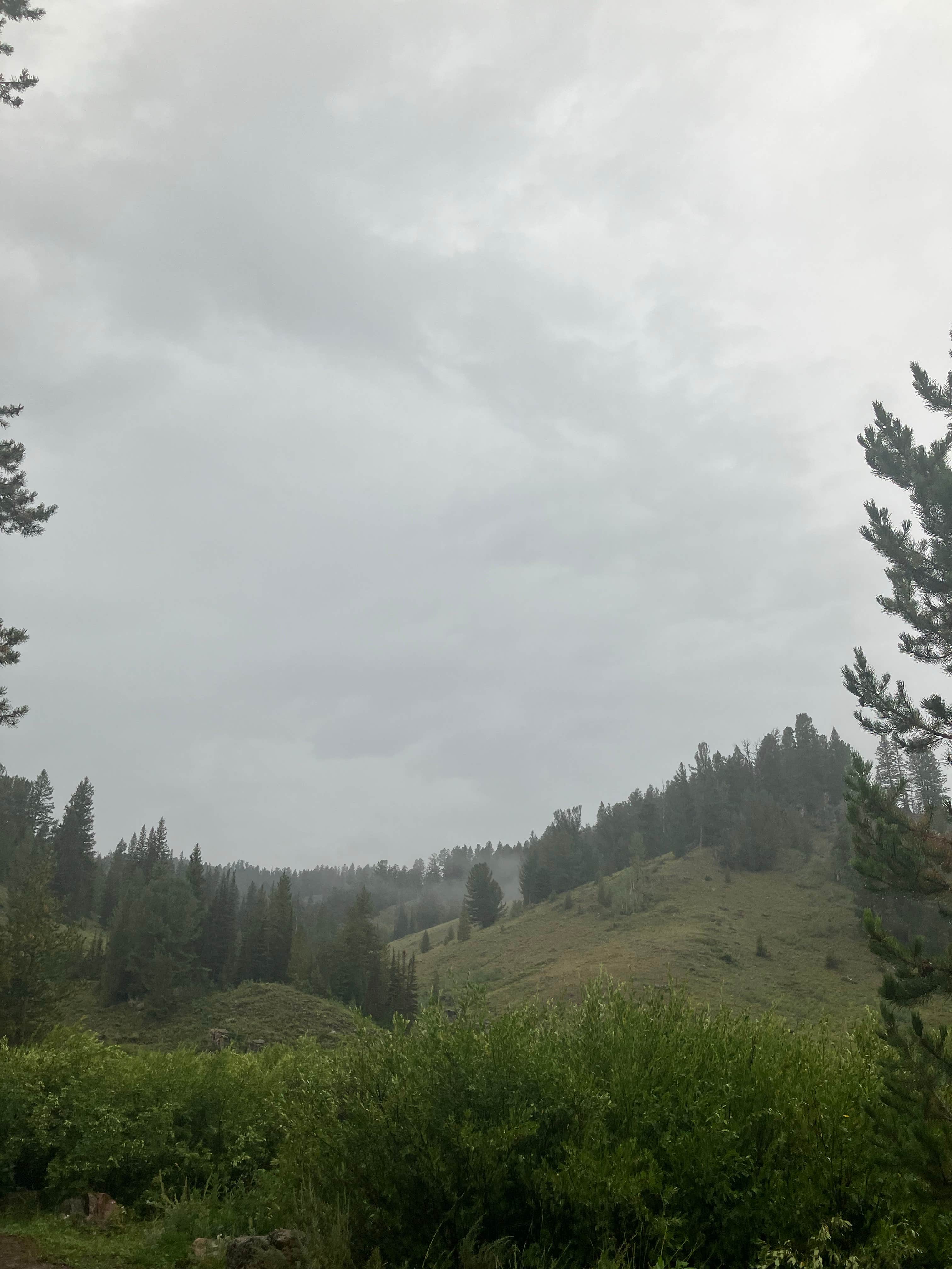 Camper-submitted photo at Beaver Creek near Fish Haven, ID