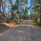 Review photo of Beaver Dam Campground by Stephen B., August 16, 2026