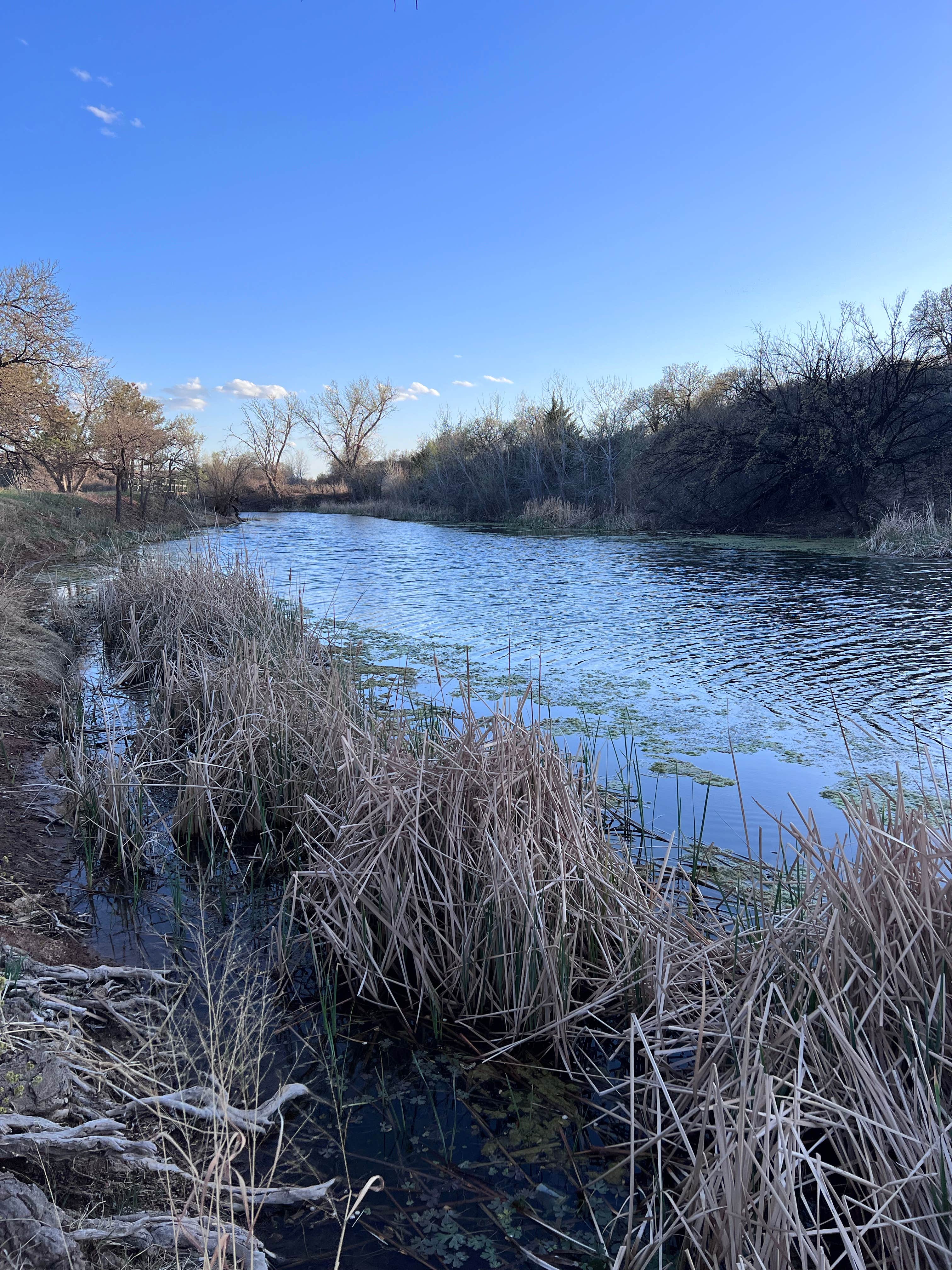 Camper-submitted photo at Beaver Dunes Park Campground near Meade, KS