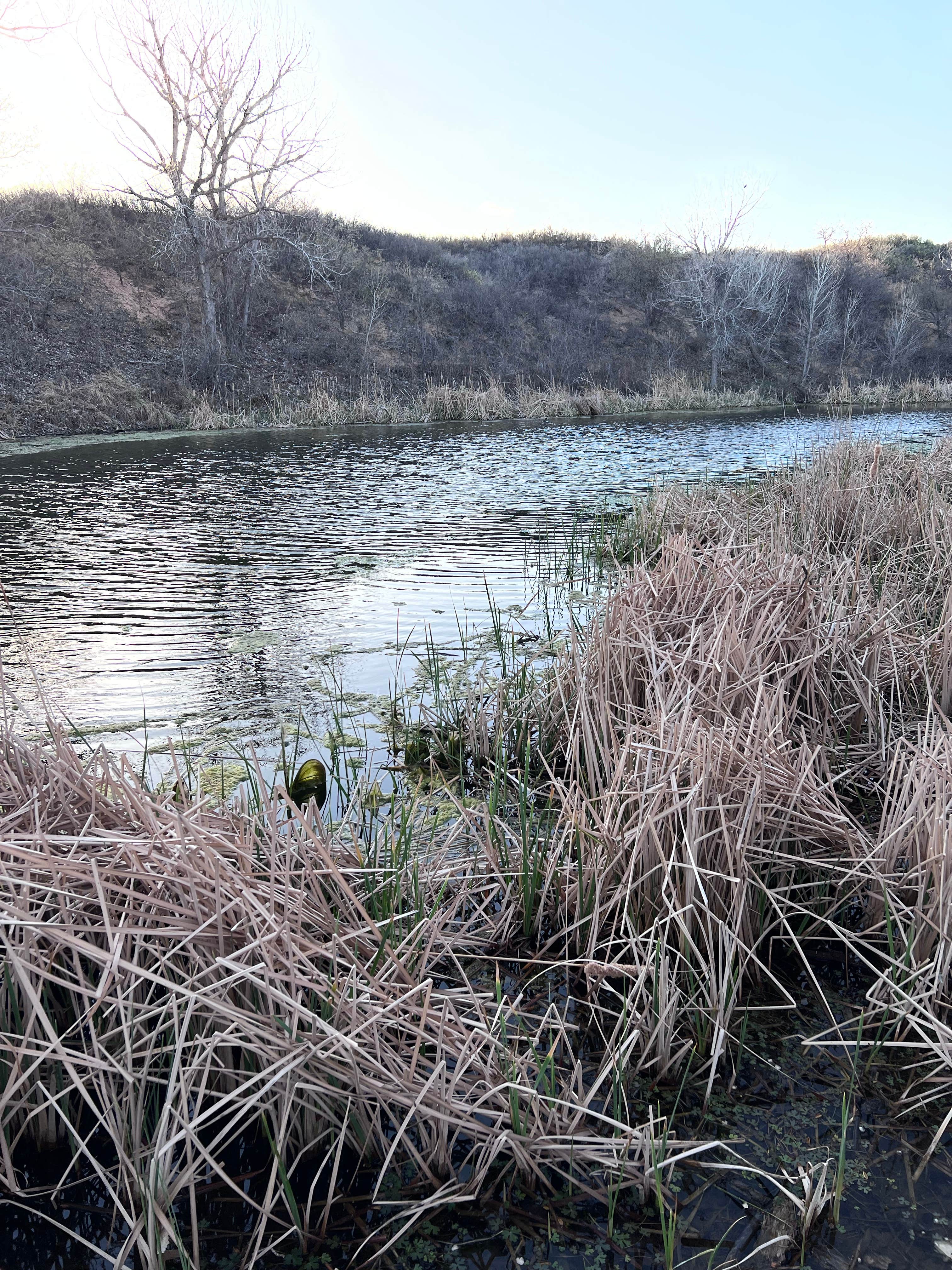 Camper-submitted photo at Beaver Dunes Park Campground near Meade, KS