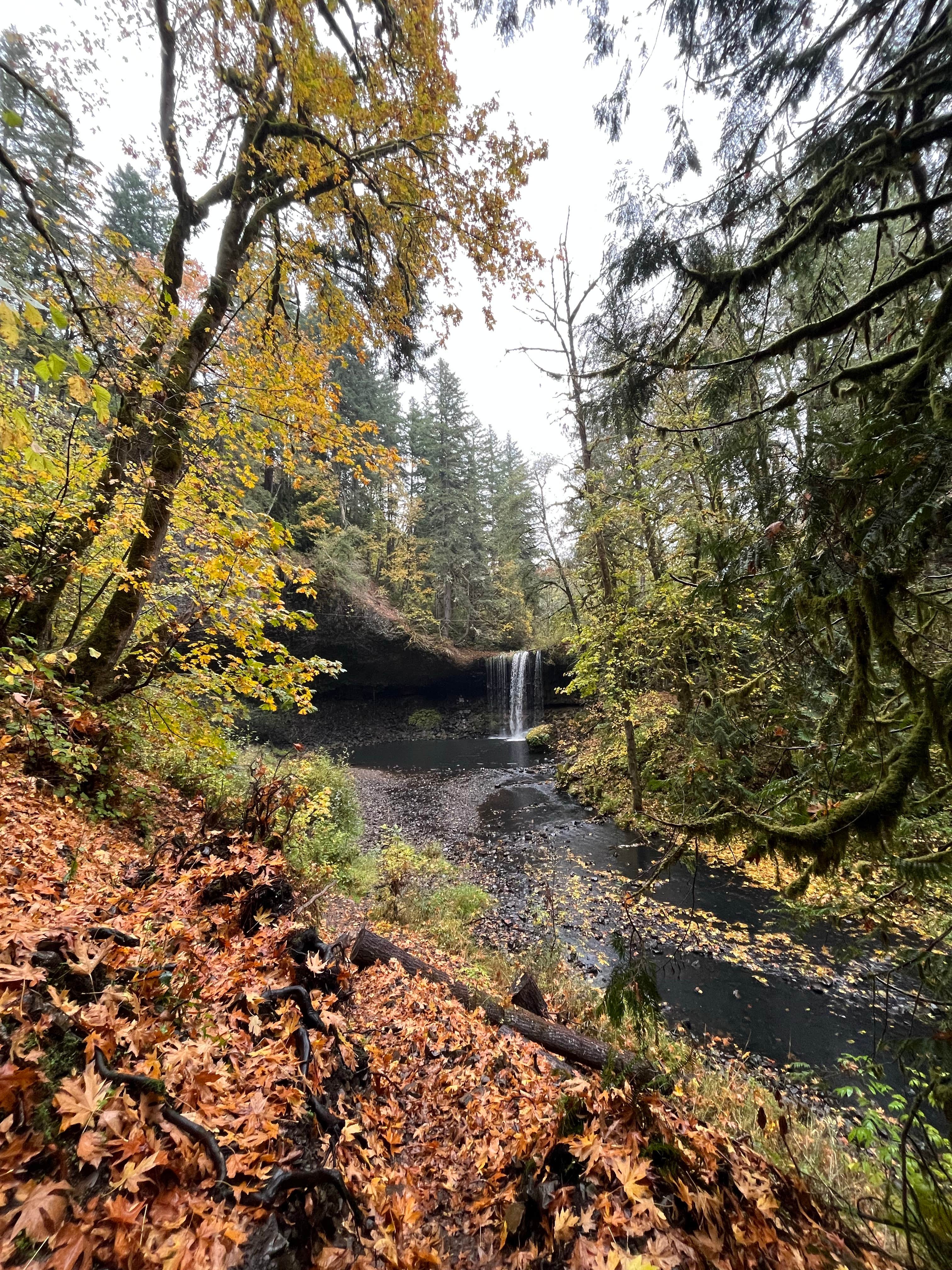 Camper-submitted photo at Beaver Falls Trailhead - Overnight near Rainier, OR