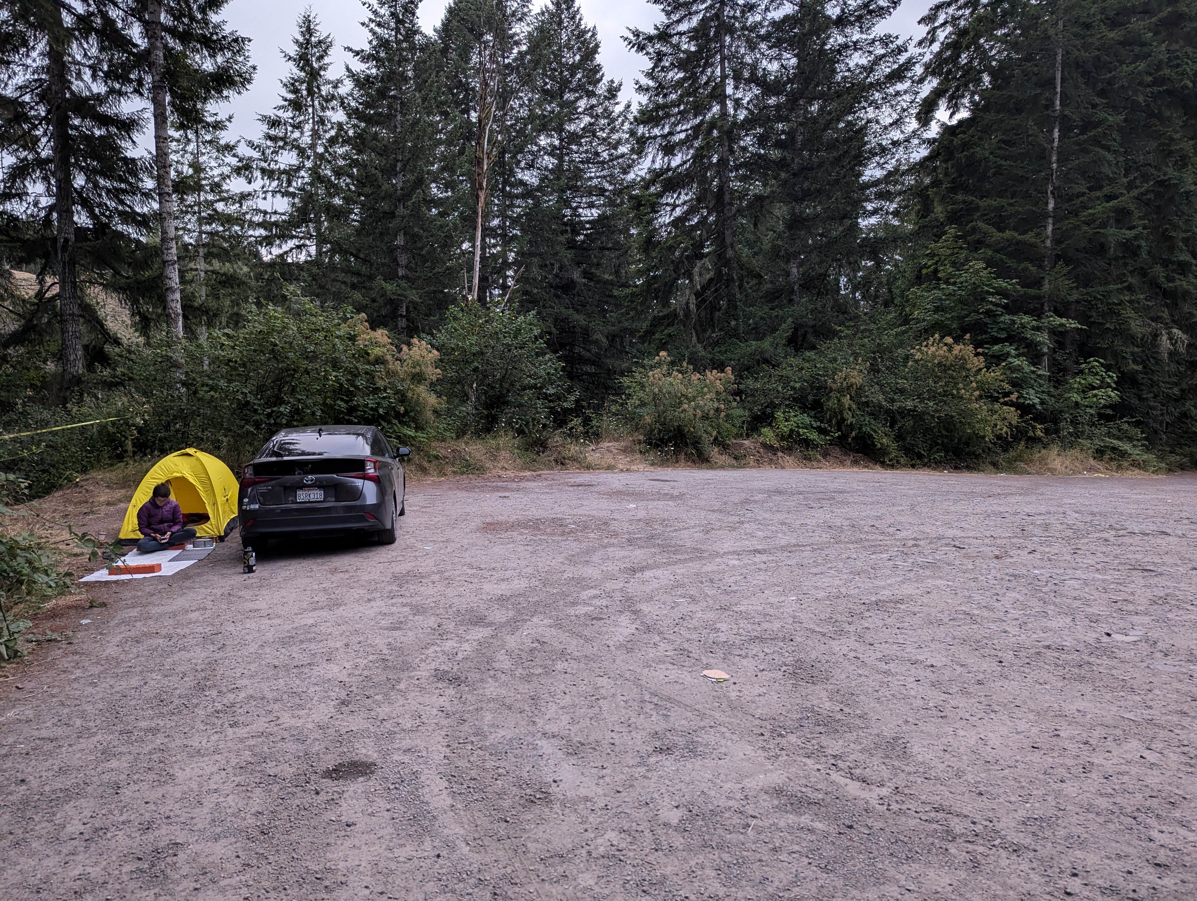 John P.'s photo of a dispersed camping area at Beaver Falls Trailhead - Overnight near Hillsboro, OR