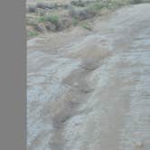 Review photo of Beaver Flats Road Dispersed by Travis H., May 16, 2026