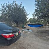 Review photo of Beaver Flats Road Dispersed by Travis H., May 16, 2026