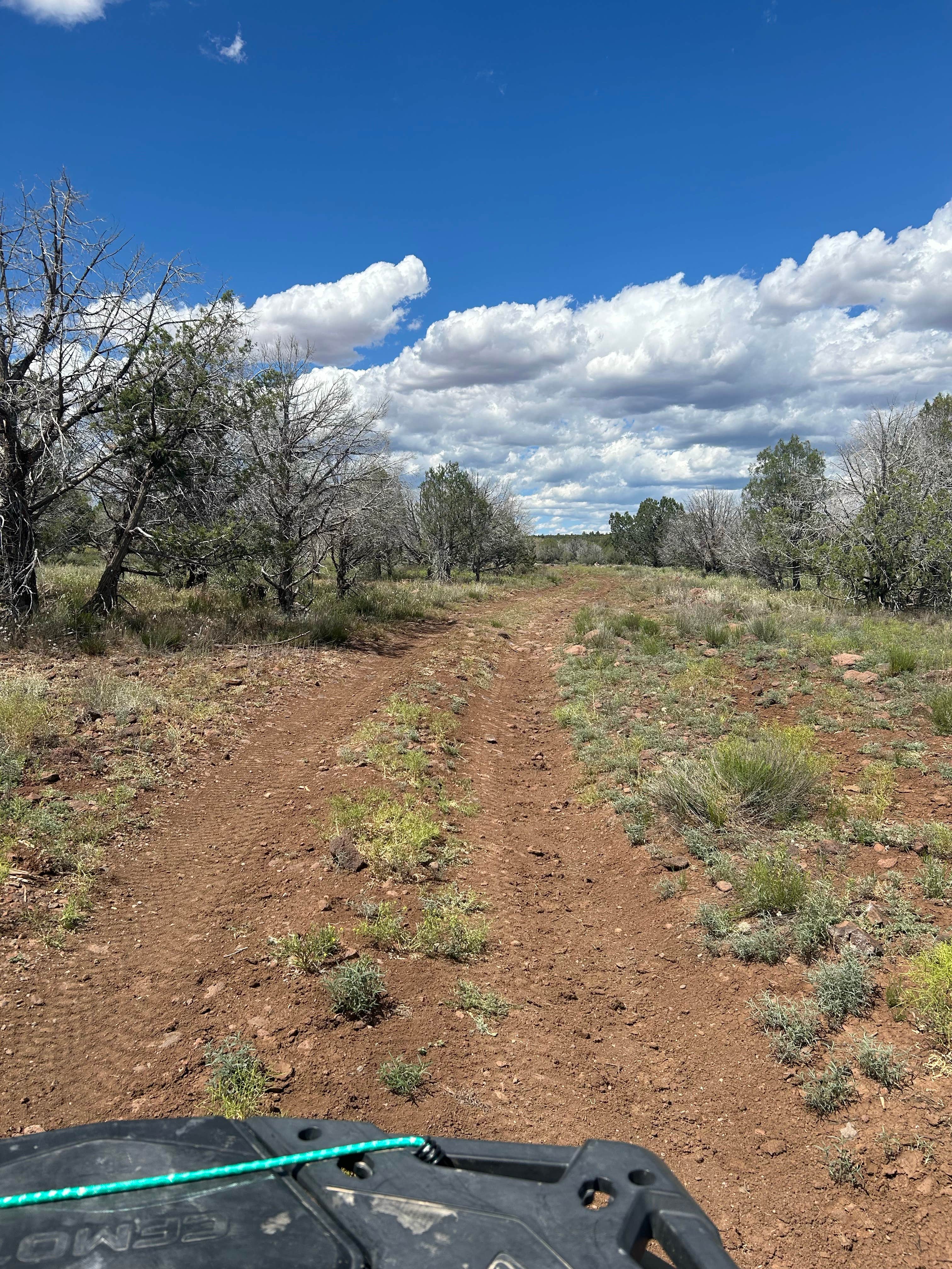 Camper-submitted photo at Beaver Flats Road Dispersed near Cornville, AZ