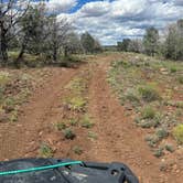 Review photo of Beaver Flats Road Dispersed by shelly B., April 12, 2026