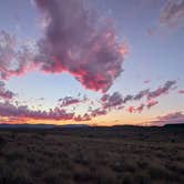 Review photo of Beaver Flats Road Dispersed by Jenna S., October 29, 2025