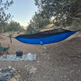 Review photo of Beaver Flats Road Dispersed by Travis H., May 16, 2026