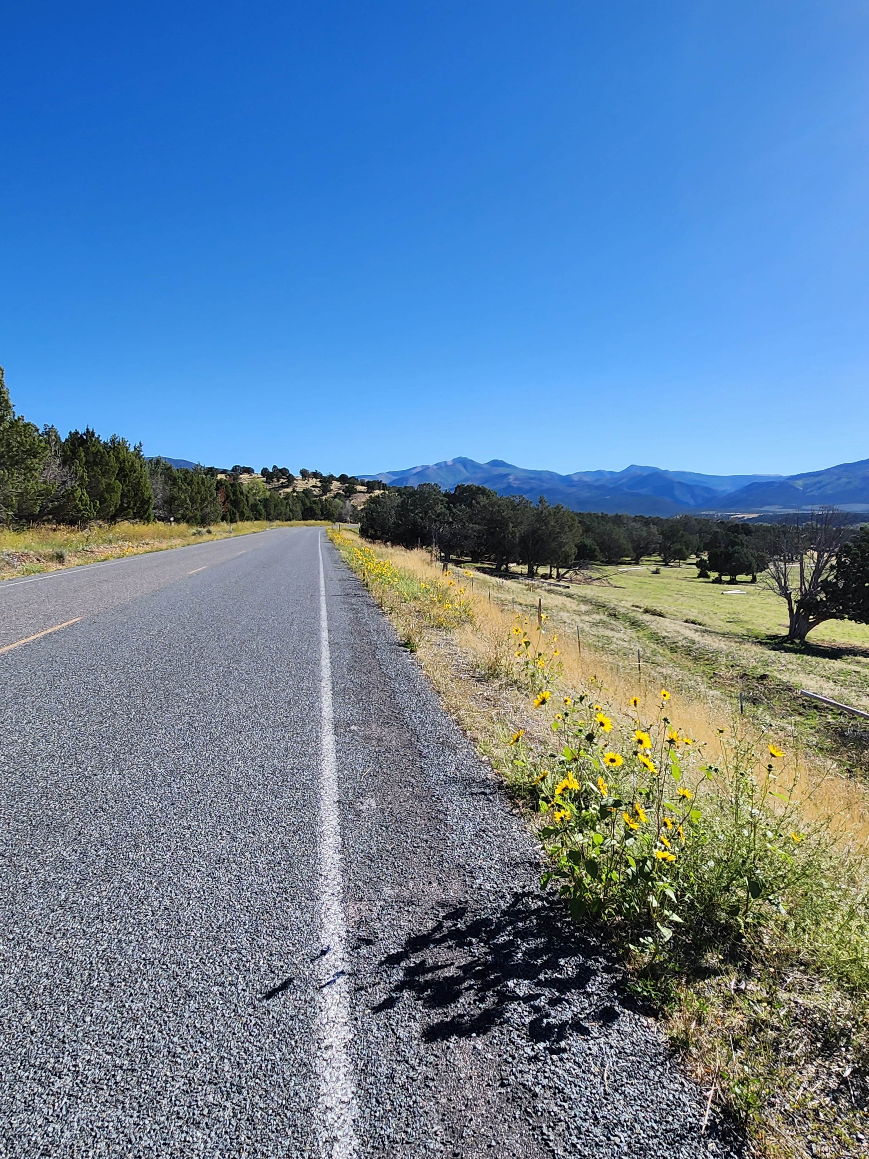 Camper submitted image from Beaver KOA/ Bryce Canyon - 3