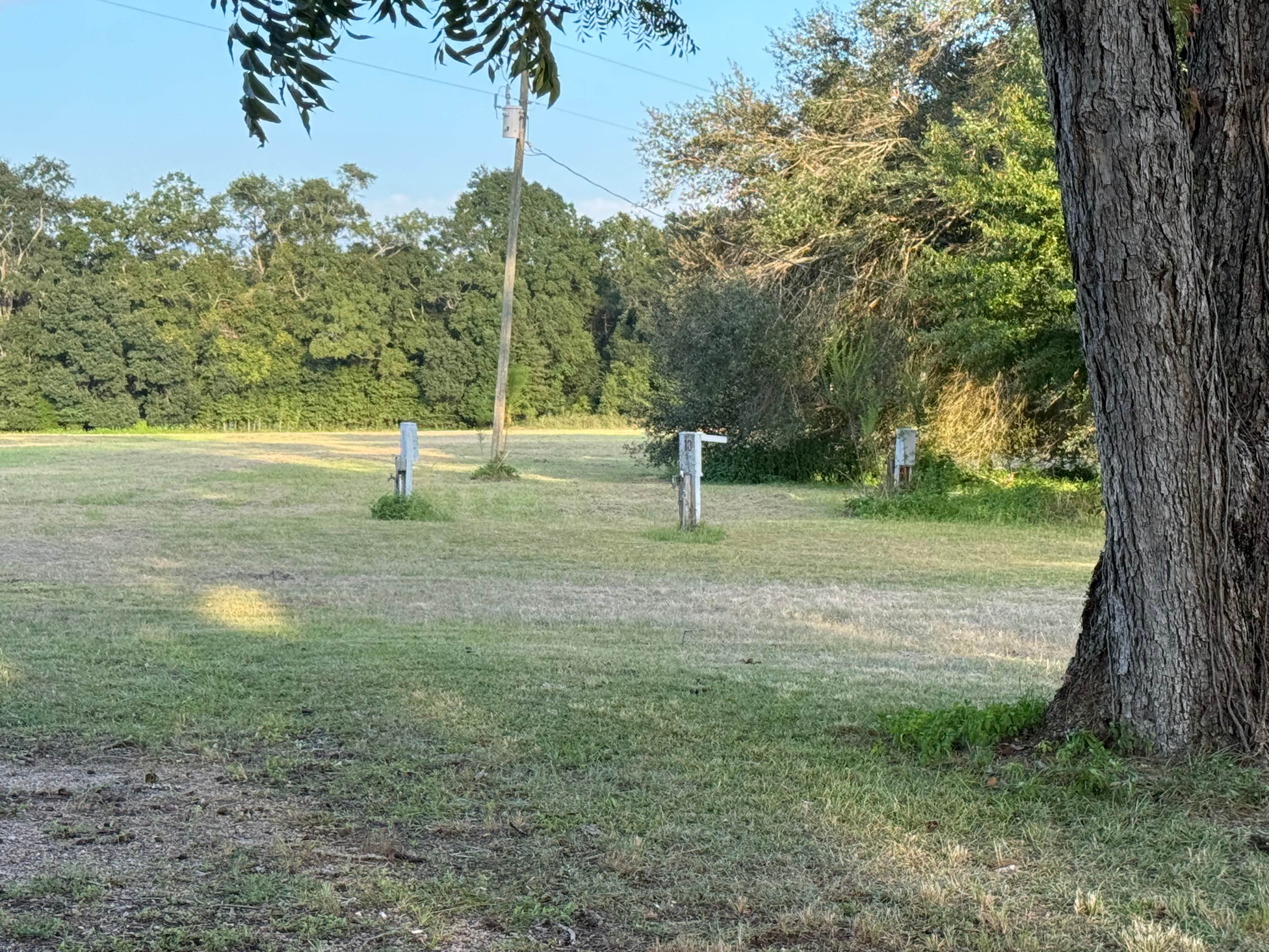 Camper-submitted photo at Beaver Lake Campground near Quincy, FL