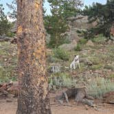 Review photo of Beaver Park Reservoir - Dispersed by Lynn , August 5, 2026