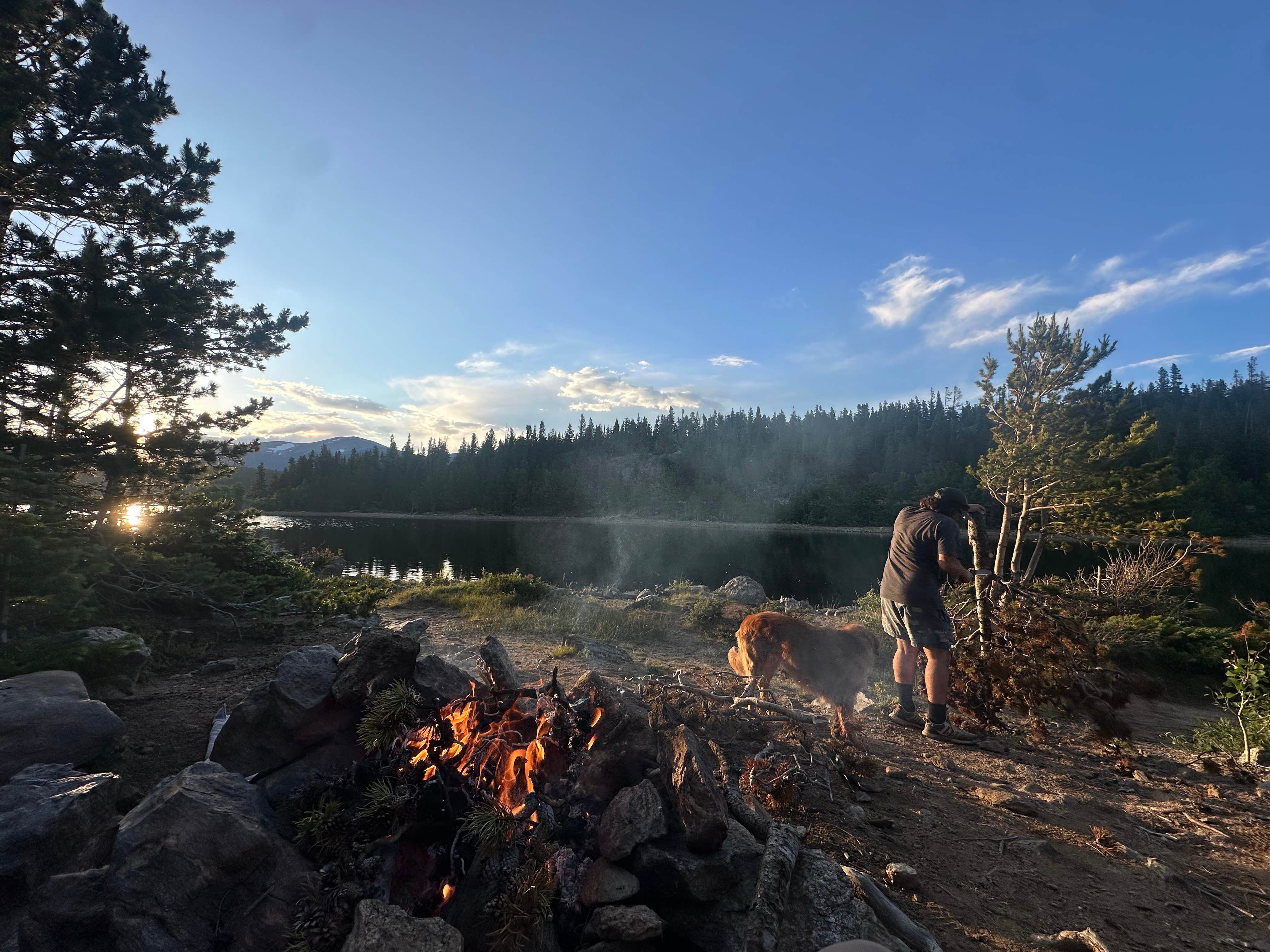 Alyssa S.'s photo of camping with pets at Beaver Park Reservoir - Dispersed near Boulder, CO