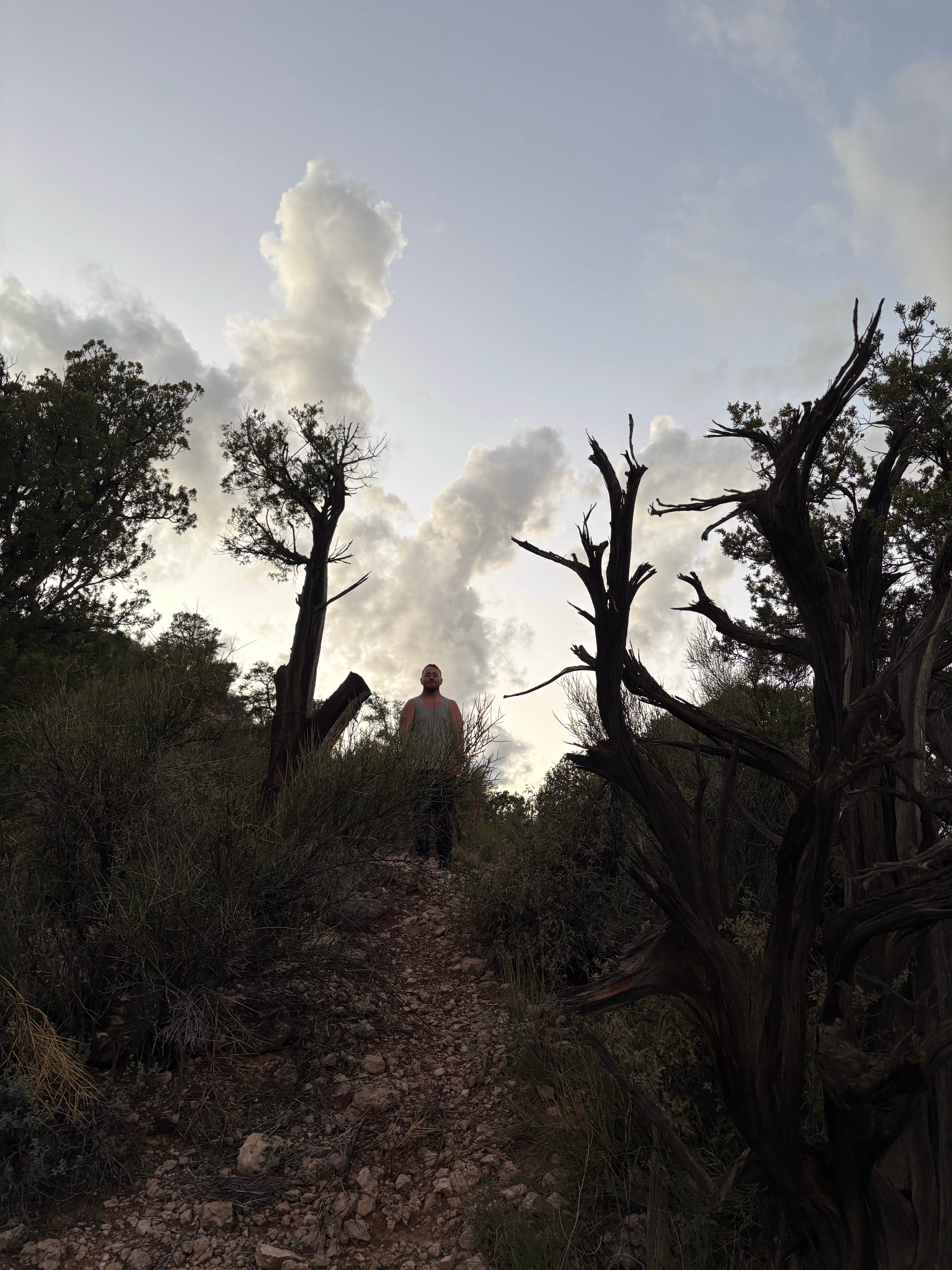 Camper submitted image from beaverhead overlook - 3