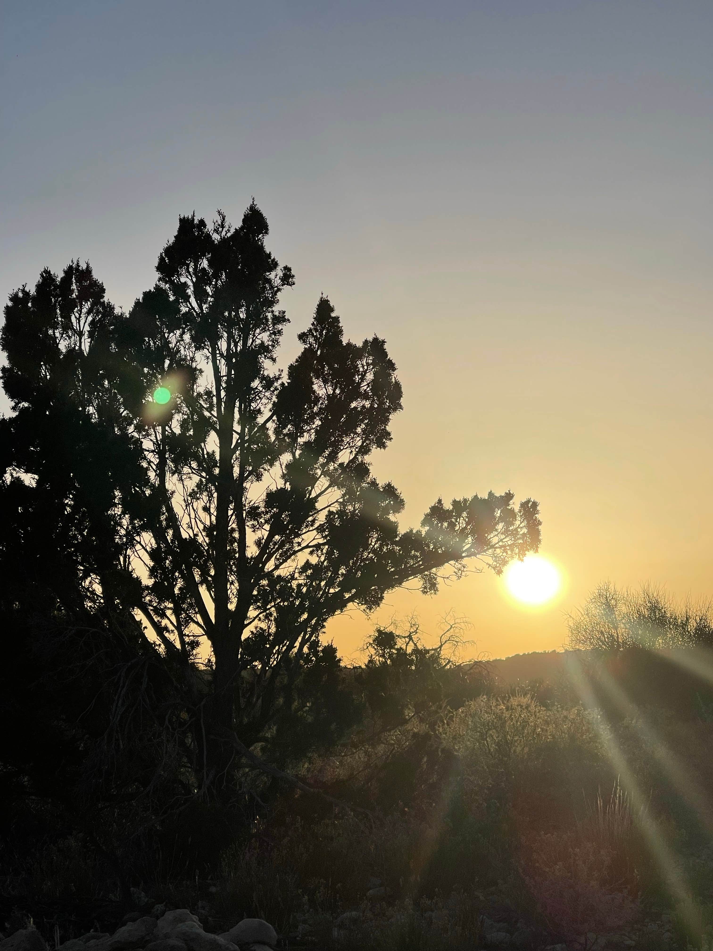 Kiki T.'s photo of a dispersed camping area at beaverhead overlook near Camp Verde, AZ