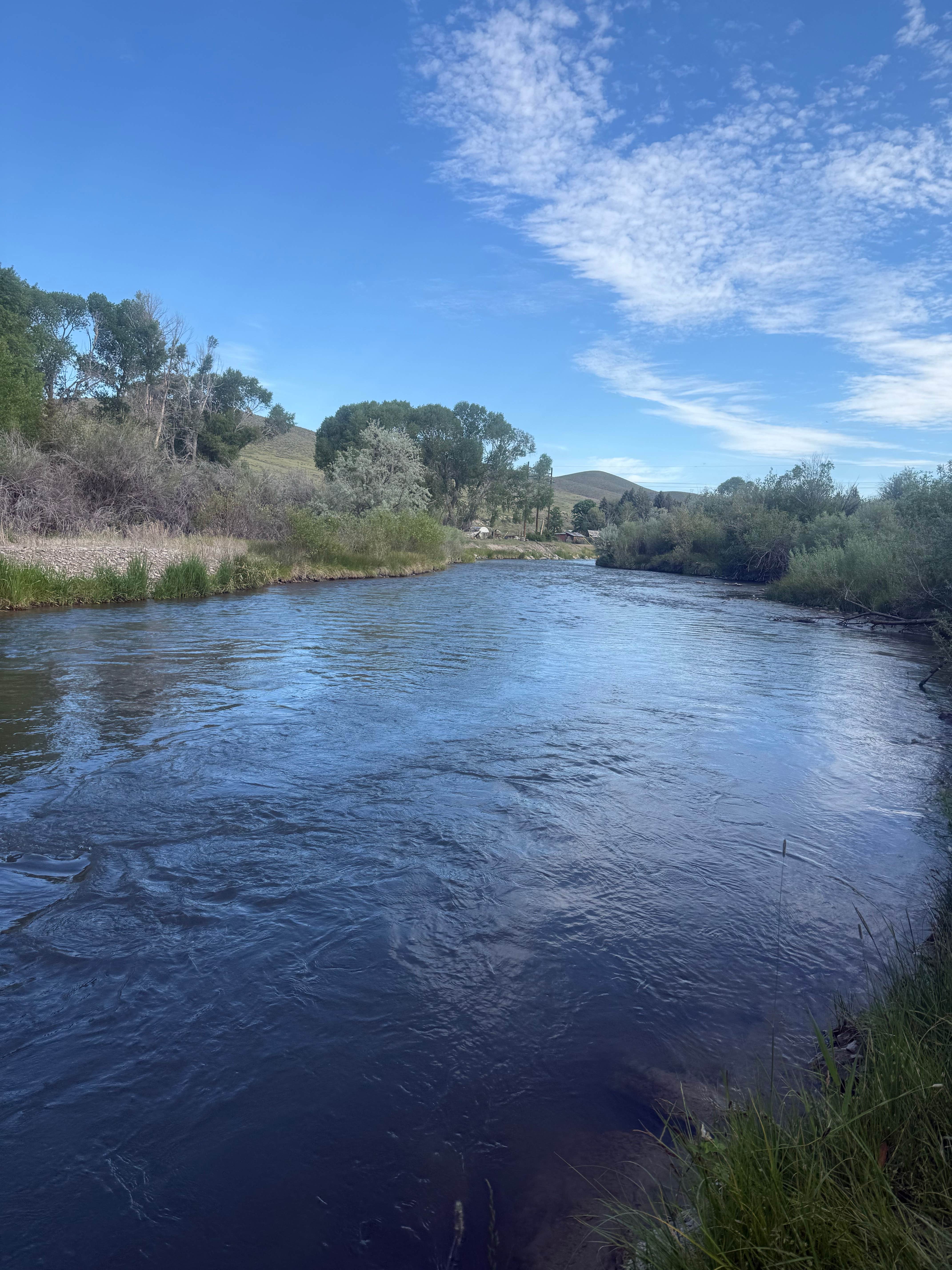 Camper-submitted photo at Beaverhead River RV Park near Twin Bridges, MT