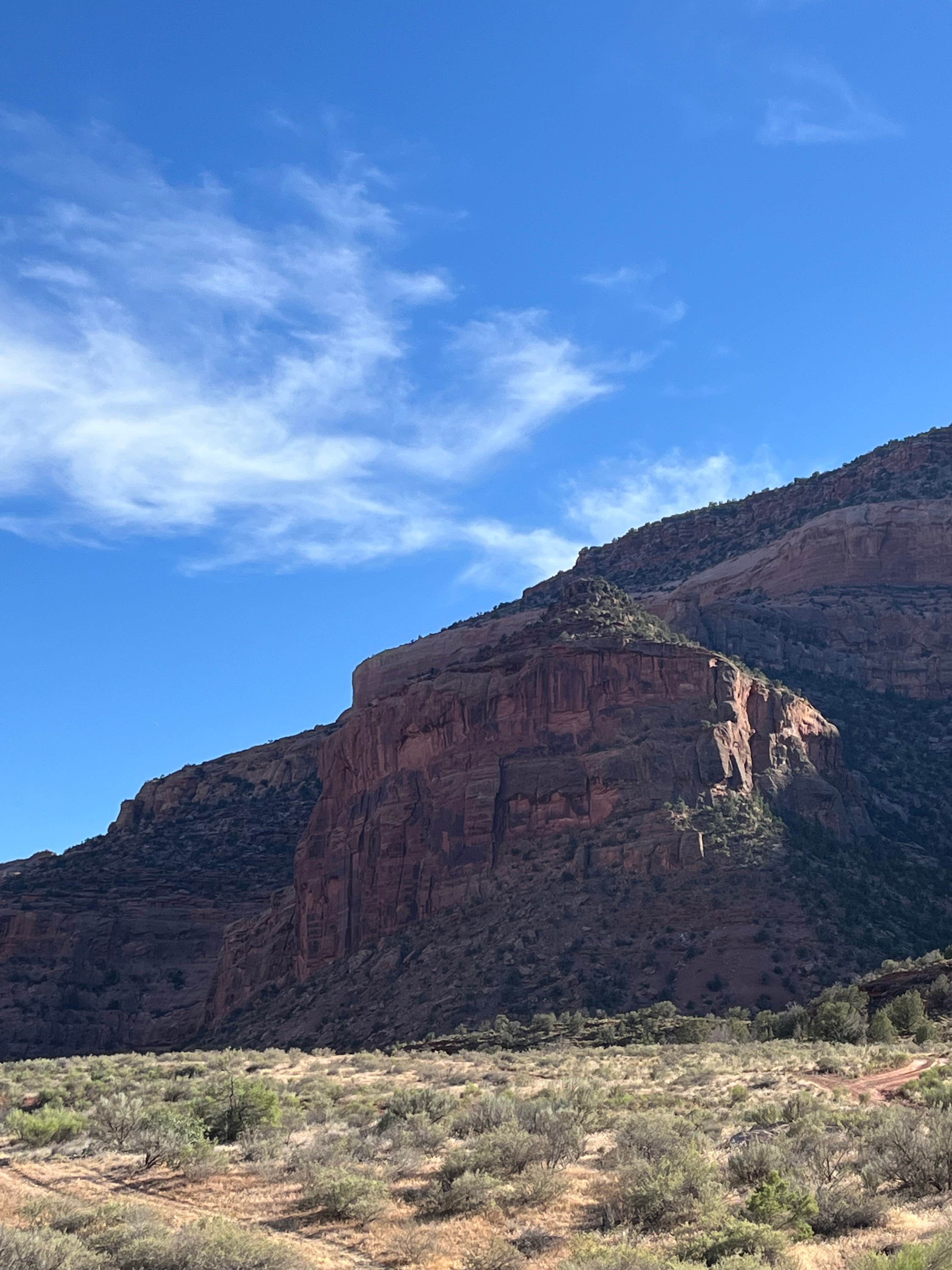 Camping near High Country RV Park: Bedrock Recreation Site, Nucla, Colorado