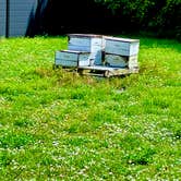 Review photo of Bee Healthy Honey Farms by Carol C., May 7, 2024