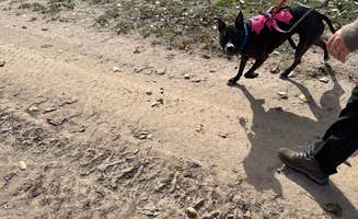 Gavin M B.'s photo of camping with pets at Bee Mountain Ranch near Crowley, TX