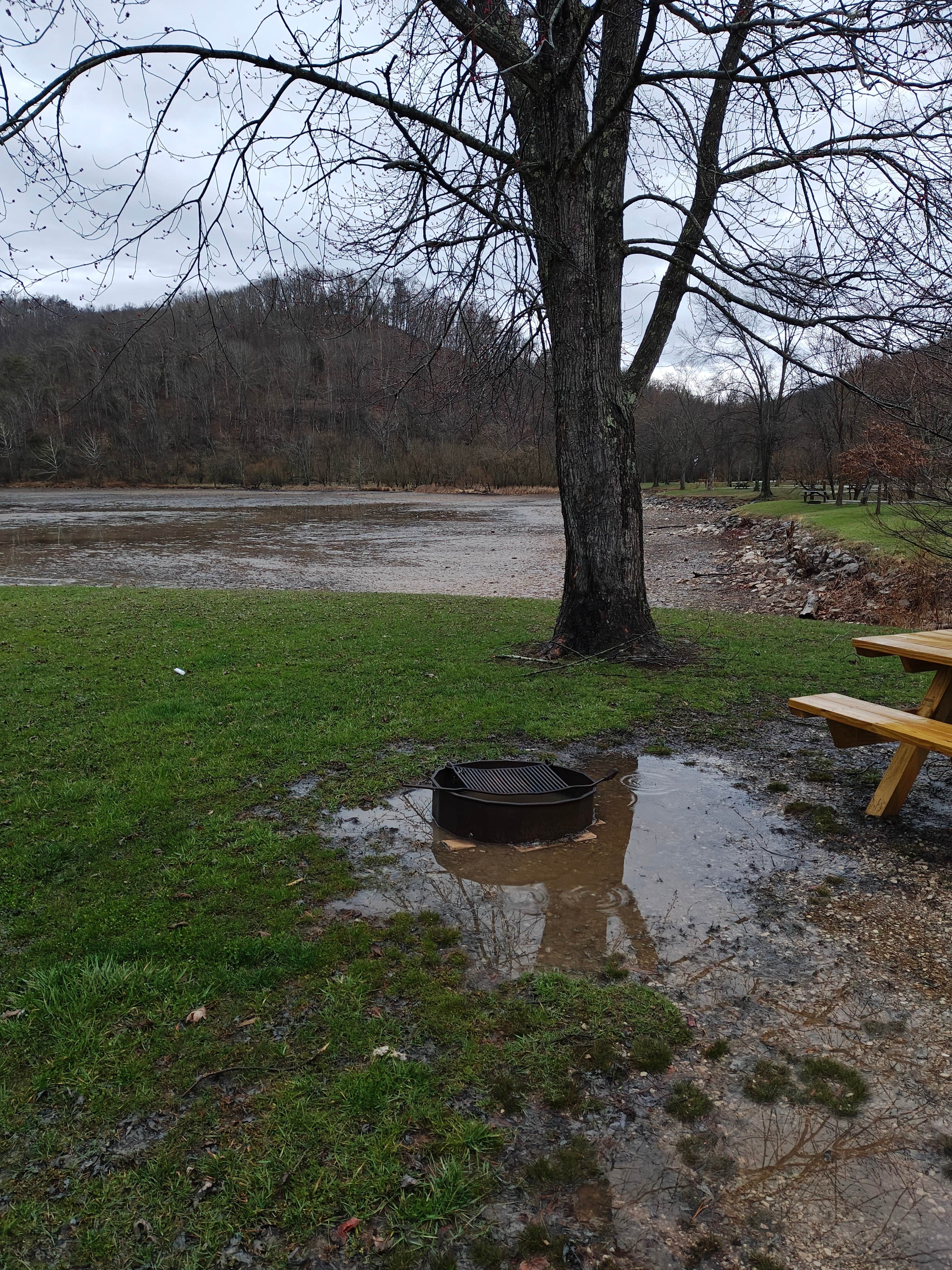 Camper-submitted photo at Beach Fork Lake Lower Bowen near Wayne, WV