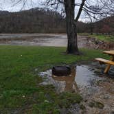 Review photo of Beach Fork Lake Lower Bowen by Chelsea B., March 7, 2026