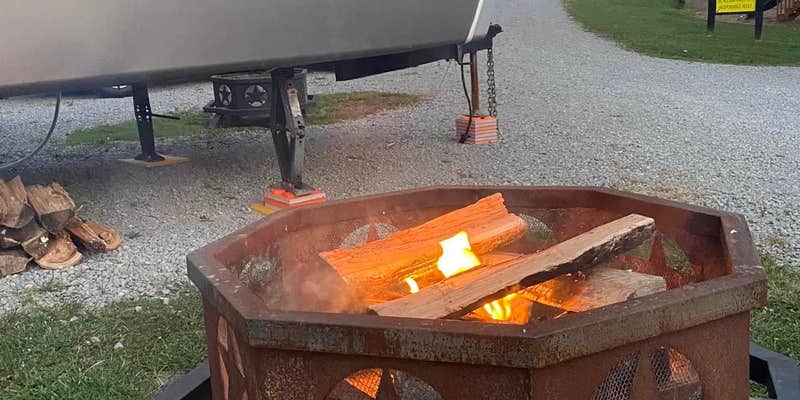 Camper submitted image from Beechwood Acres Camping Resort