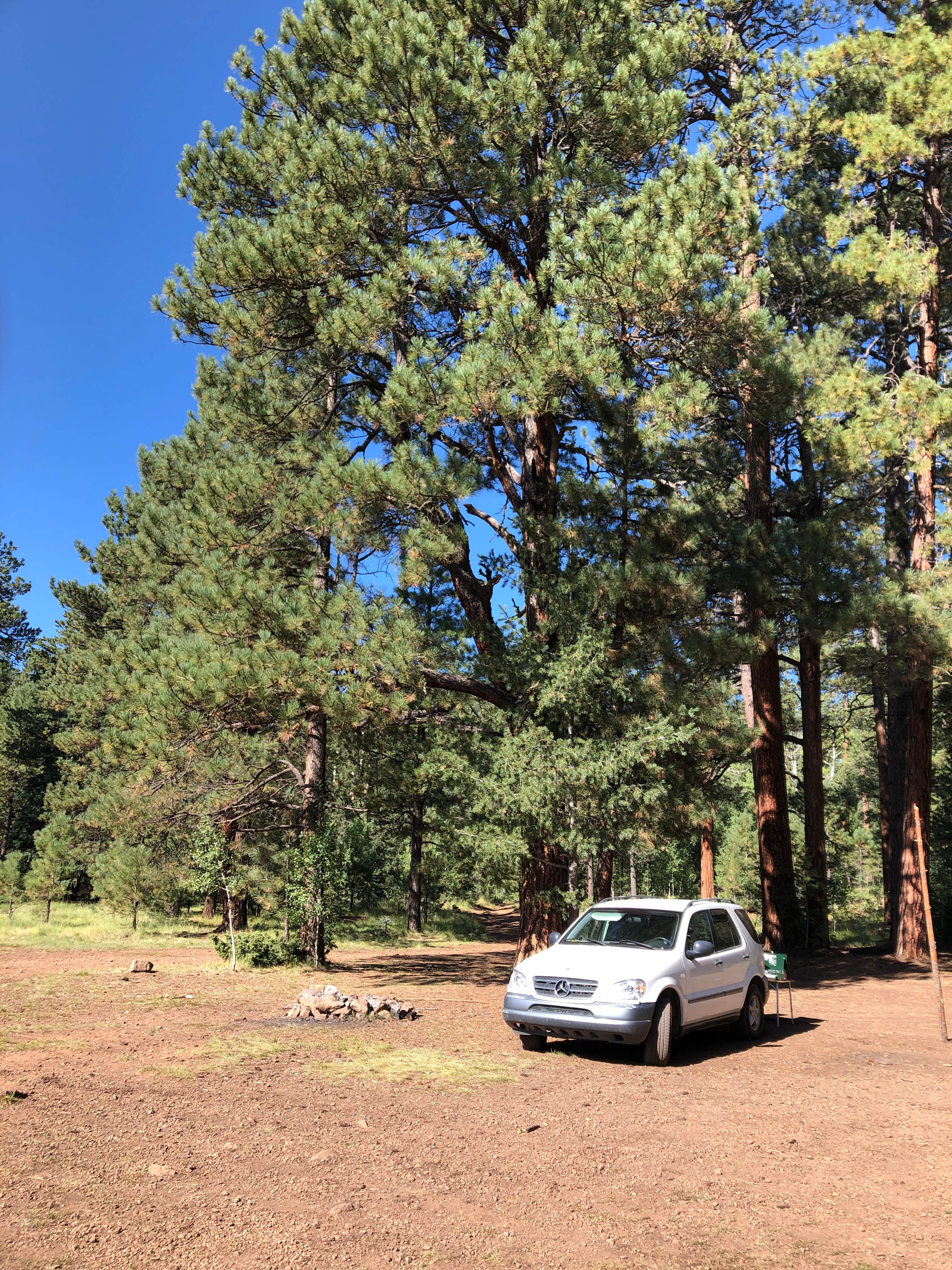 Camper-submitted photo at Beehive Spring Camp near Whiteriver, AZ