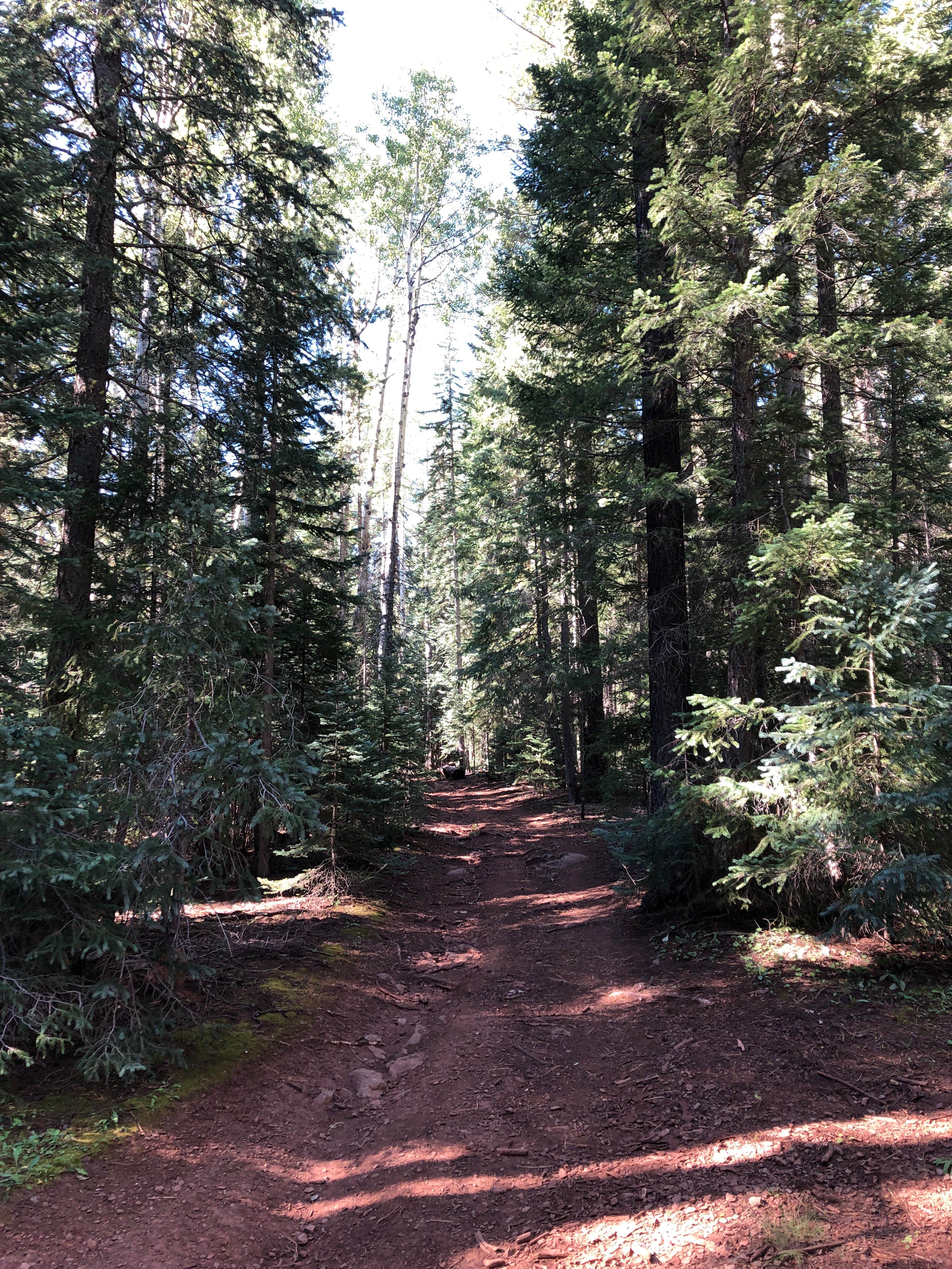 Camper-submitted photo at Beehive Spring Camp near Whiteriver, AZ